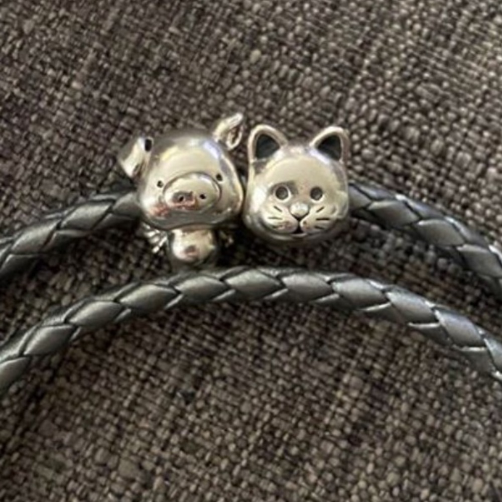 Pandora Charms - brand new!